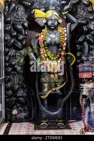 Shreenathji Wallpaper HD - Latest version for Android - Download APK