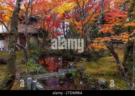 Japanese garden in autumn in the city of Kyoto Stock Photo