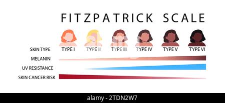 Fitzpatrick scale skin types infographic vector illustration Stock ...