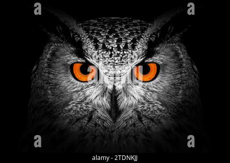 Owl looking big red eyes out of the darkness close up Stock Photo