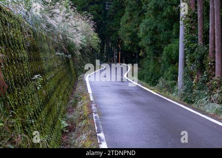 Winding roads in the mountains of the Wakayama Peninsula in Japan Stock Photo