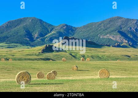 hay bales below the adel mountains near cascade, montana Stock Photo