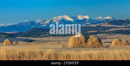 haystacks in fields below peaks of the flint creek range near avon, montana Stock Photo