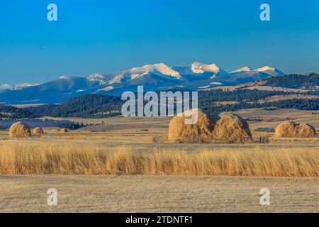 haystacks in fields below peaks of the flint creek range near avon, montana Stock Photo