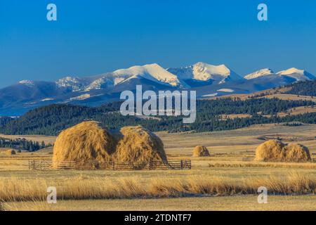 haystacks in fields below peaks of the flint creek range near avon, montana Stock Photo