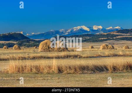 haystacks in fields below peaks of the flint creek range near avon, montana Stock Photo