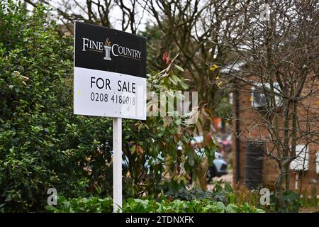Estate agent's for sale signs in Bukchurst Hill, Essex, England, UK Stock Photo