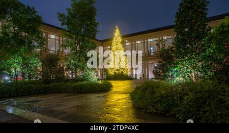 Cloister with garden and tree illuminated with LED bulbs for energy saving Stock Photo