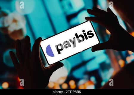 Brazil. 18th Dec, 2023. In this photo illustration, the Paybis logo is displayed on a smartphone screen. (Photo by Rafael Henrique/SOPA Images/Sipa USA) *** Strictly for editorial news purposes only *** Credit: Sipa USA/Alamy Live News Stock Photo