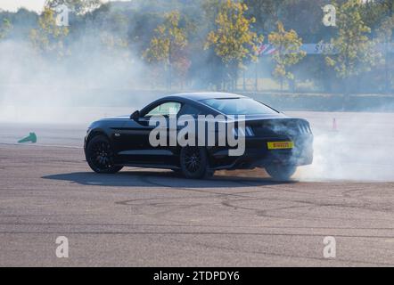 Stunt driver Paul Swift driving his Ford Focus on 2 wheels and Mustang spins Stock Photo