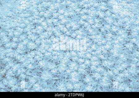 blue background of frosty patterns of ice and snow on winter river Stock Photo