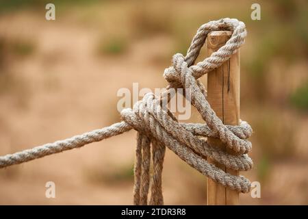 thick rope tied around a wooden stake in the forest Stock Photo