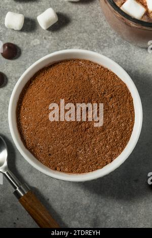 Dry Organic Hot Cocoa Chocolate Powder Mix in a Bowl Stock Photo