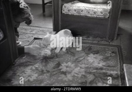 1950s, historical, a lady leaning down on the floor beside a rug in a front room, feeding a treat to her furry friend, her kitten, England, UK. Stock Photo