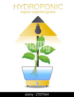 Portable hydroponic aeroponic system for eco-friendly growing of green lettuce, vegetables and herbs. With automatic watering system and purple phyto Stock Vector