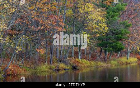 Fall colors on the West Fork of the Chippewa River in northern Wisconsin. Stock Photo