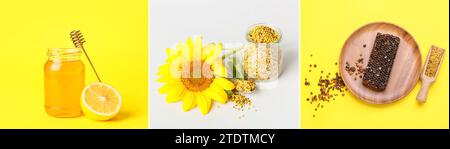 Collage of bee products on color background Stock Photo