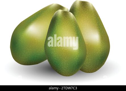 Avocado Fruit Stock Vector