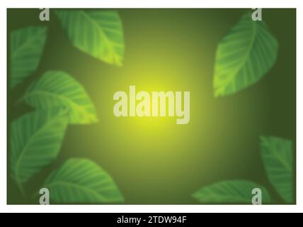 MANGO TREE LEAVES ON GREEN BACKGROUND Stock Vector