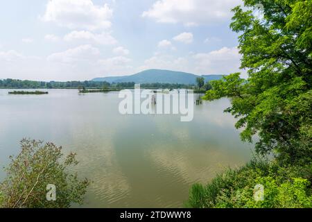 Provaglio d’Iseo: pond in Riserva naturale Torbiere del Sebino in Brescia, Lombardia, Lombardy, Italy Stock Photo