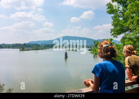 Provaglio d’Iseo: pond in Riserva naturale Torbiere del Sebino, tourists in Brescia, Lombardia, Lombardy, Italy Stock Photo