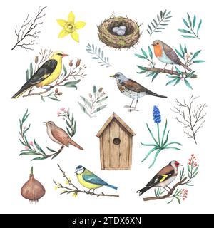 Big set of watercolor garden spring elements, birds on blooming branches, first flowers and nest. Hand-drawn design elements in retro style isolated o Stock Photo