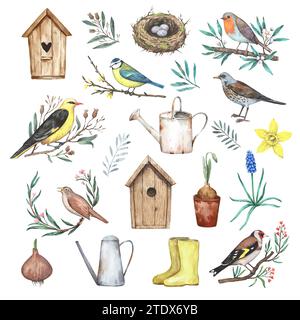 Big set of watercolor garden spring elements, birds on blooming branches, gardening tools, first flowers and nest. Hand-drawn design elements in retro Stock Photo