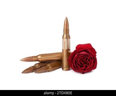 Bullets and beautiful rose flower isolated on white Stock Photo