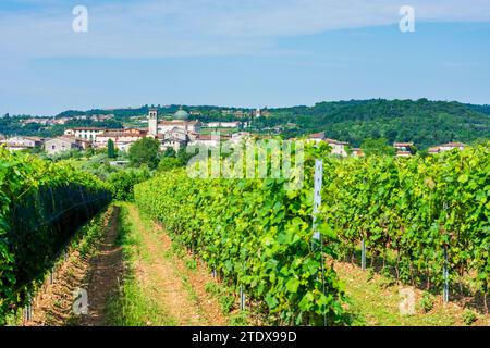 Puegnago sul Garda: church Chiesa di Santa Maria della Neve in district Raffa, vineyard in Brescia, Lombardia, Lombardy, Italy Stock Photo