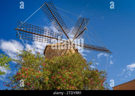 The Molí d'en Blanc windmill, near Llubí, a mill with traditional architecture in the Pla de Mallorca region (Majorca, Balearic Islands, Spain) Stock Photo