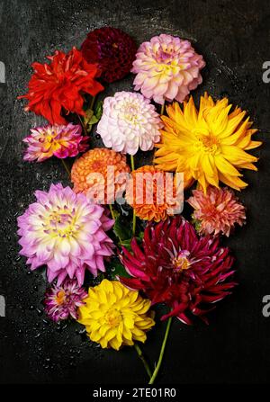 bouquet of dahlias on a dark background. Colorful red, pink and orange dahlias flowers composition on rustic wood flat lay. Floral card. Beautiful Aut Stock Photo