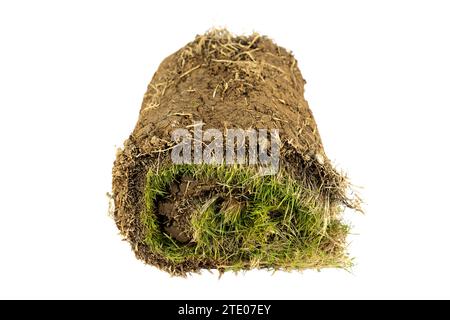 Green grass with dirt and roots isolated on white background Stock Photo