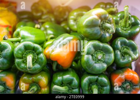 Green pepper on the counter in a supermarket. A large number of bell peppers in a heap. Stock Photo