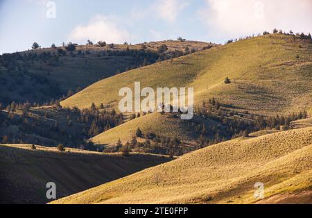 The Rolling Hills of John Day Fossil Beds National Monument, Oregon Stock Photo