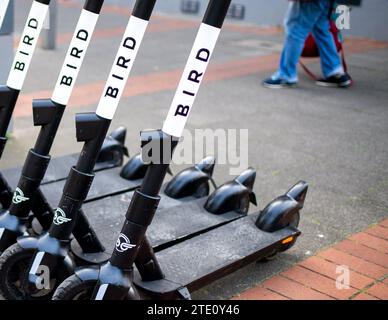 Hanover, Germany. 12th June, 2020. E-scooters from the electric scooter sharing provider Bird are parked in Südstadt. The electric kick scooter provider Bird wants to reorganize itself in US insolvency proceedings. Credit: Hauke-Christian Dittrich/dpa/Alamy Live News Stock Photo