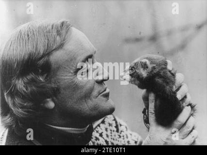 12/31/1976. Félix Rodríguez de la Fuente and a ferret. Credit: Album / Archivo ABC / Ángel Carchenilla Stock Photo