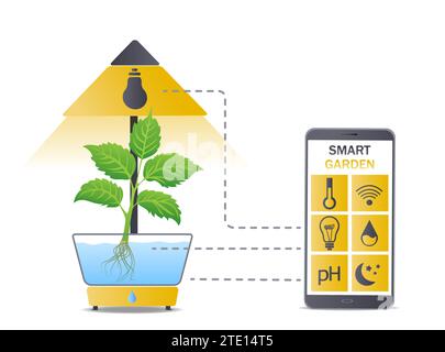 Portable hydroponic aeroponic system for eco-friendly growing of green lettuce, vegetables and herbs. With automatic smart watering system and Stock Vector