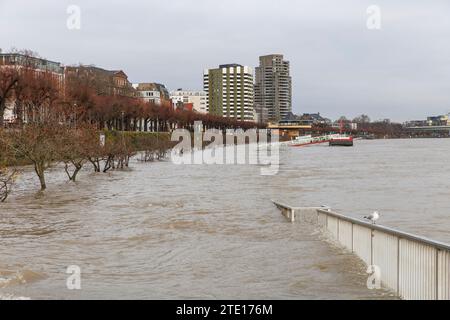 Cologne, Germany, December 16th. 2023, flood of the river Rhine, in the background the Bastei. Koeln, Deutschland, 16. Dezemberr 2023, Hochwasser des Stock Photo