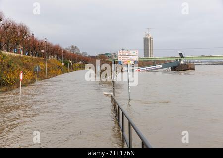 Cologne, Germany, December 16th. 2023, flood of the river Rhine, in the background the Zoo bridge and Colonia high-rise building. Koeln, Deutschland, Stock Photo