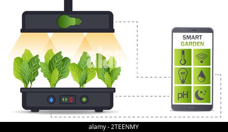 Portable hydroponic aeroponic system for eco-friendly growing of green lettuce, vegetables and herbs. With automatic smart watering system and Stock Vector