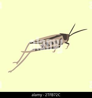 Vector isolated illustration of a grasshopper on a yellow background. Stock Vector
