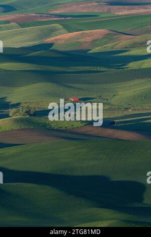 Red barn at dawn from Steptoe Butte, Palouse, Washington Stock Photo