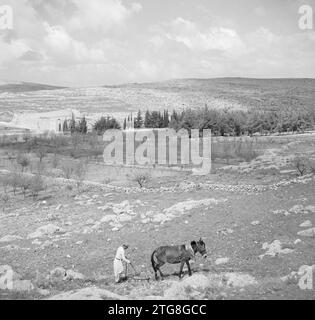 Landscape outside Bethlehem. Solomon's Pool along the road from Bethlehem to Jerusalem. A farmer in a field ca. 1950-1955 Stock Photo