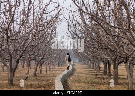 Kashmiri residents collect drinking water from a water truck on a cold winter day in the outskirts of Srinagar. Stock Photo