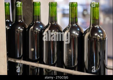 Wine making line, bottling and corking line in underground cellar, Saint-Emilion wine making region picking, cru class Merlot or Cabernet Sauvignon re Stock Photo