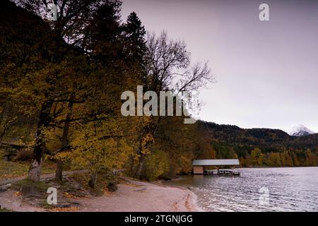 Image of autumn near Fussen in Bavaria Stock Photo