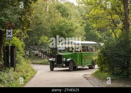 England, West Sussex, Arundel, Amberley Museum and Heritage Centre, Vintage Southdown Transport Company Green Buses Stock Photo