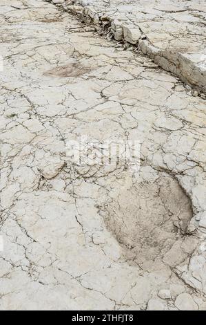 the-biggest-dinosaur-footprints-in-france-nearby-the-village-of-plagne