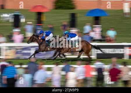 Race horse's in Ripon Races England 2023 Stock Photo - Alamy