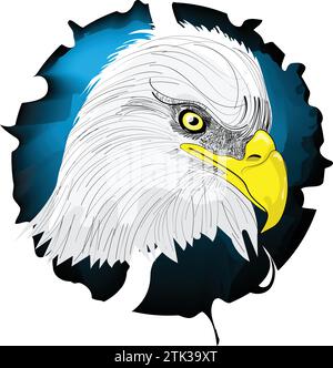 Bald eagle head Stock Vector